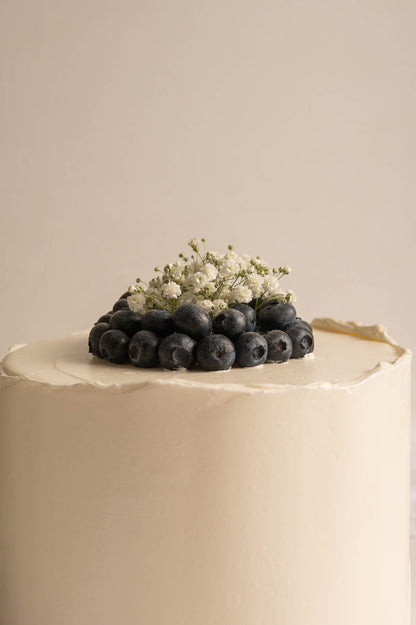 White Party Cake